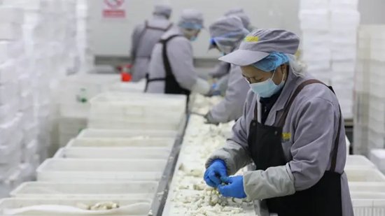 聚链成群逐绿向新丨一朵菌菇引领食用菌产业蝶变升级