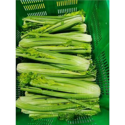 赢得两地市场的信赖——桥头镇与常平镇食材供应到底该选谁？