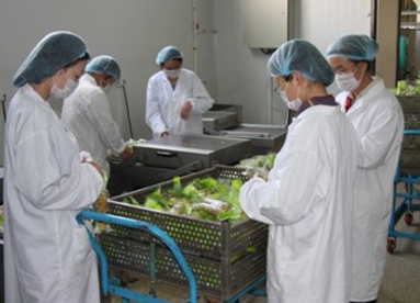 农副产品加工业与食品制造业有哪些不同