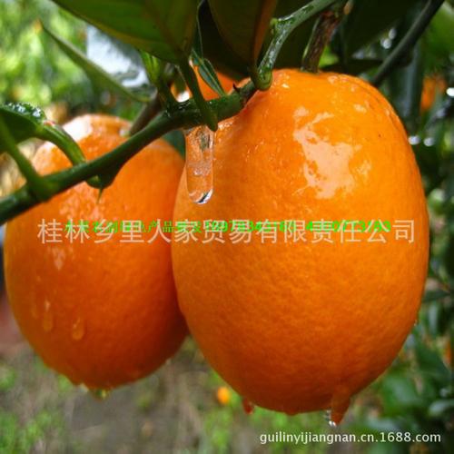 农副绿色产品